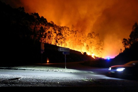 Bereits sieben Tote bei Waldbränden in Portugal