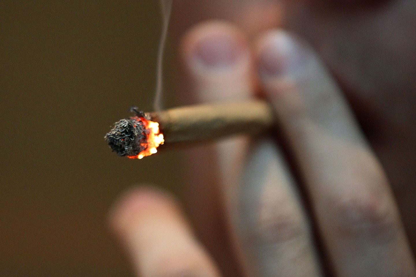 Cannabis und die Hirnchemie Jugendlicher - wie groß sind die Risiken?