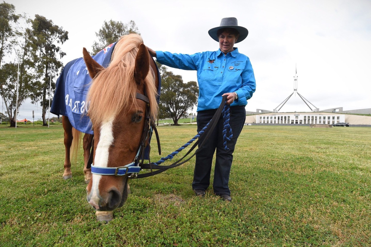 Die Zahl der «Brumbies» soll drastisch reduziert werden. (Archivbild)