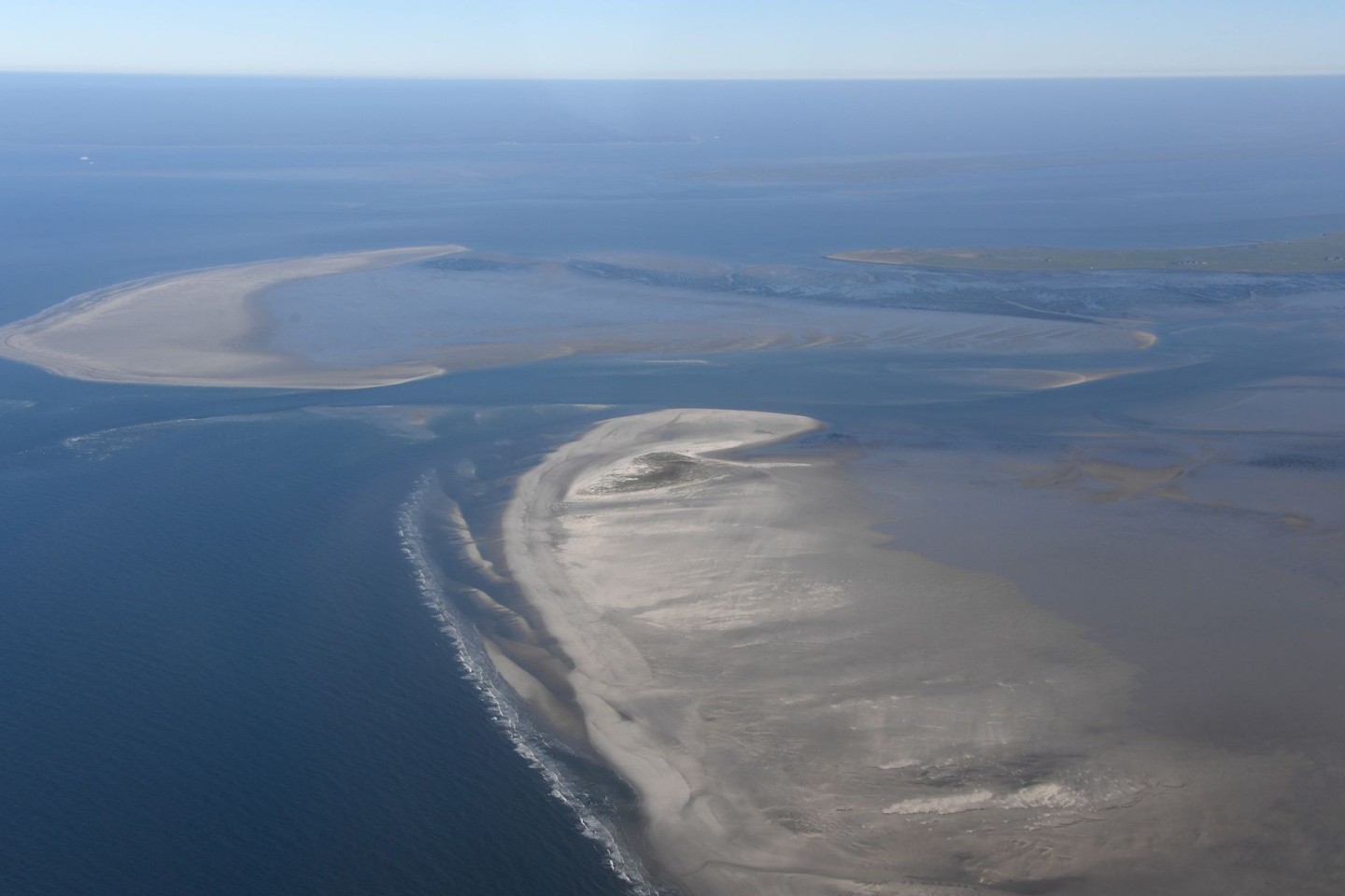 Die Klimaerwärmung verändert den Lebensraum am Wattenmeer. (Archivbild)