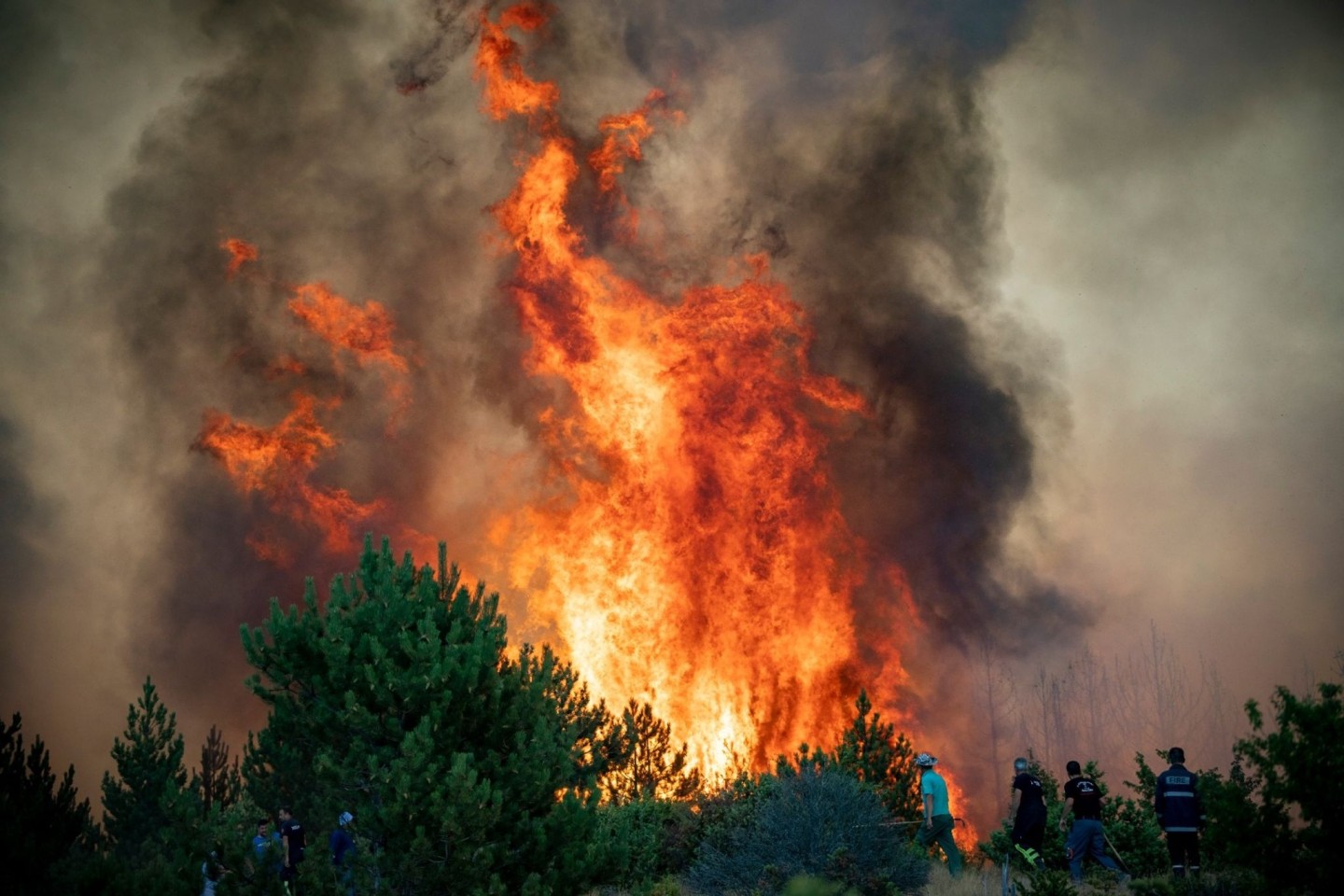 Wie oft im Sommer bei Extremhitze wüten wieder Waldbrände in Nordmazedonien. (Archivbild)