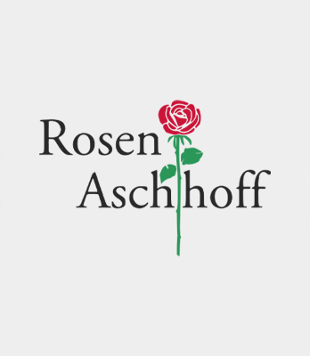 Rosen Aschhoff
