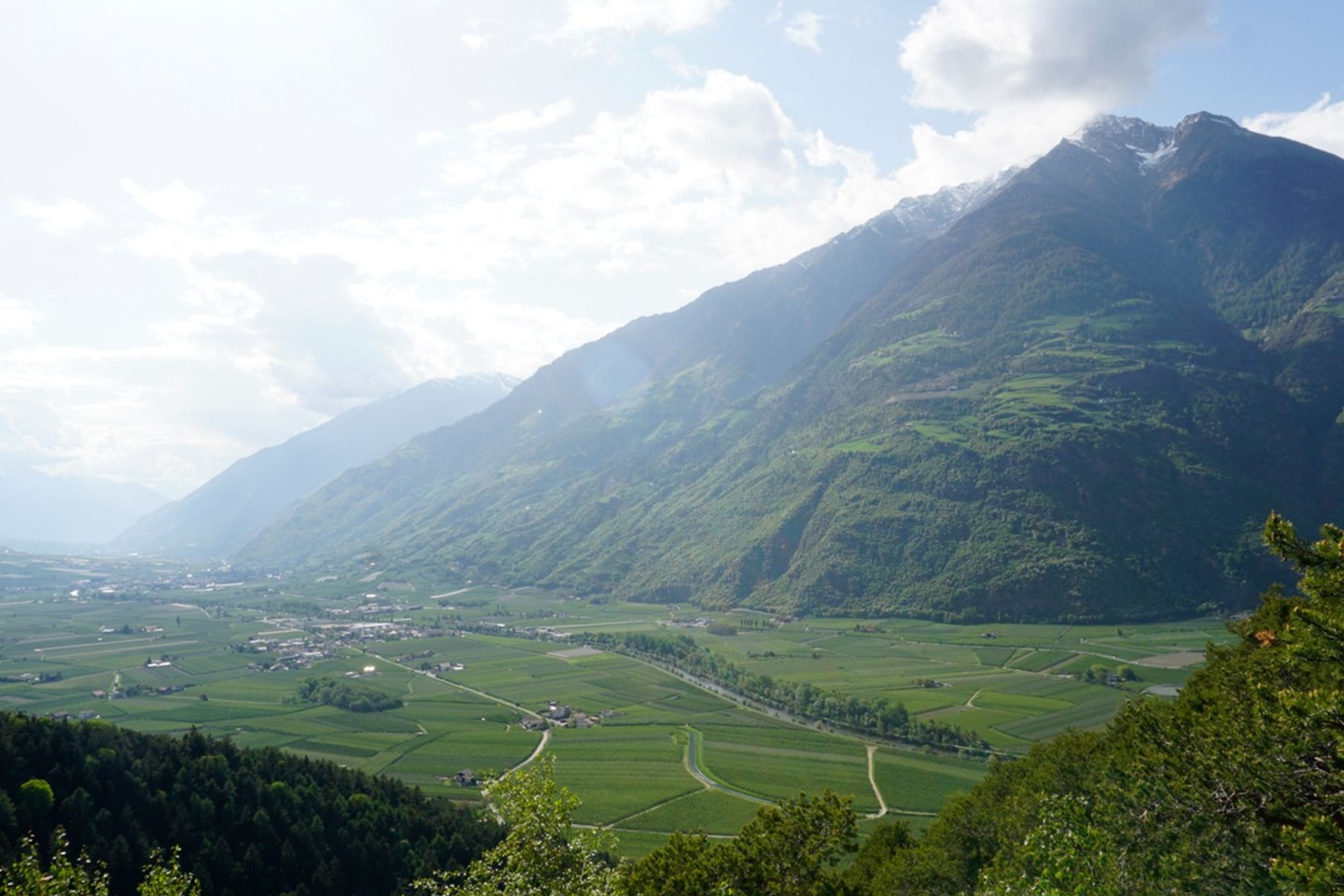 Das untere Vinschgau ist geprägt von Apfelplantagen.