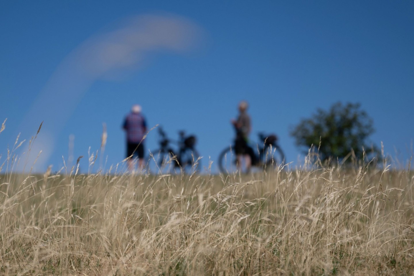 Zwei Radfahrer stehen am Rand der Schwäbischen Alb vor einer trockenen Wiese.