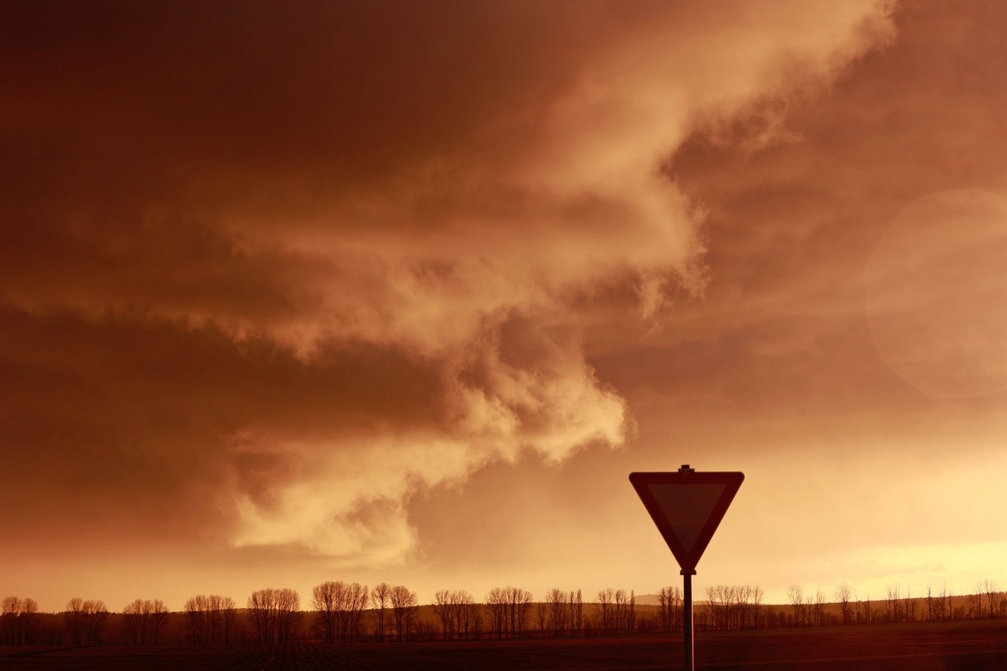 Eine Schlechtwetterfront zieht bei tief stehender Sonne über den Harz hinweg.