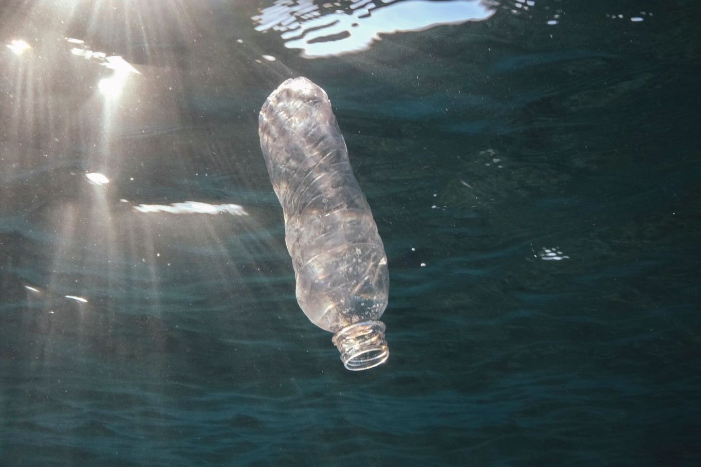 Eine weggeworfene Plastikflasche treibt im Roten Meer vor Ägypten.